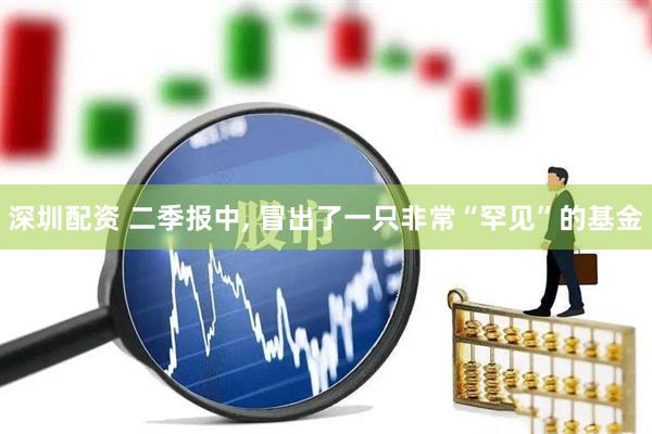 深圳配资 二季报中, 冒出了一只非常“罕见”的基金
