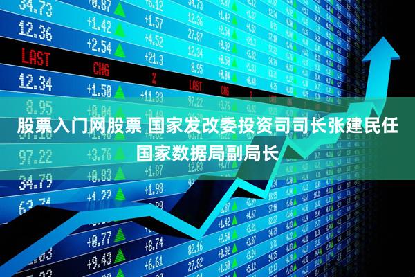 股票入门网股票 国家发改委投资司司长张建民任国家数据局副局长